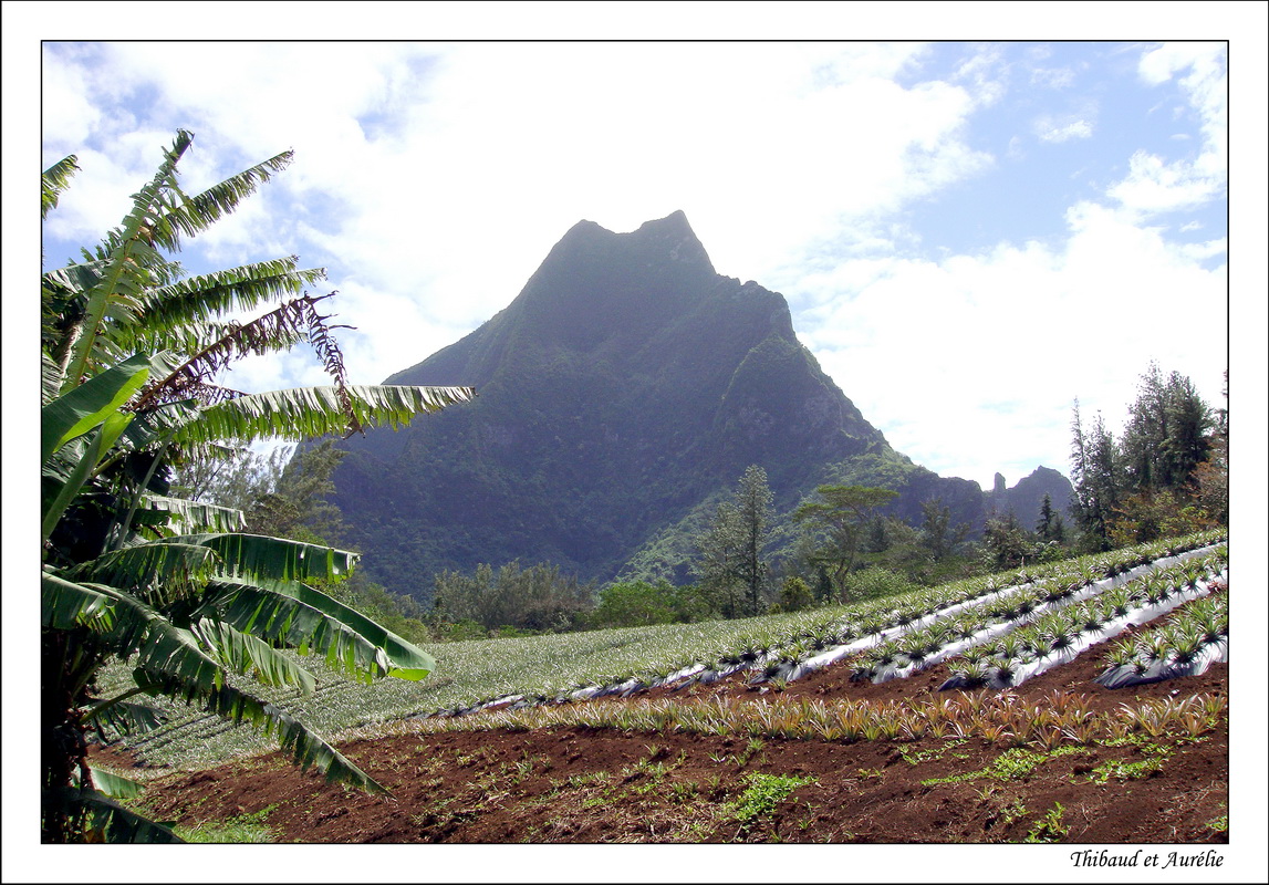 2009 - 08 - Moorea 27